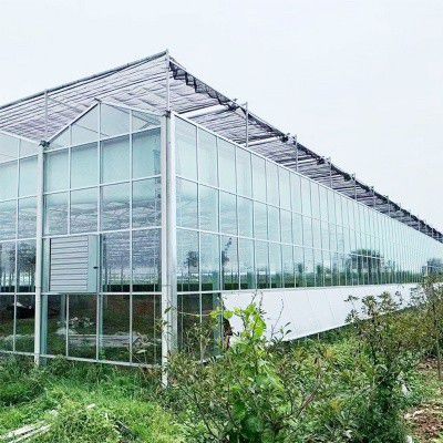 白塔玻璃溫室