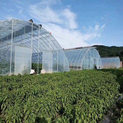 白塔溫室大棚