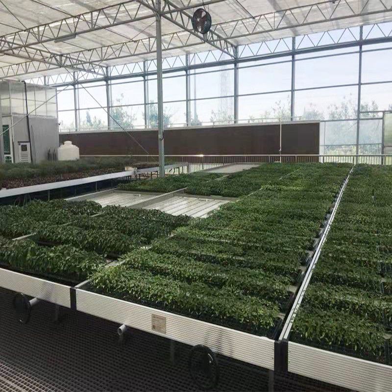 白塔蔬菜大棚