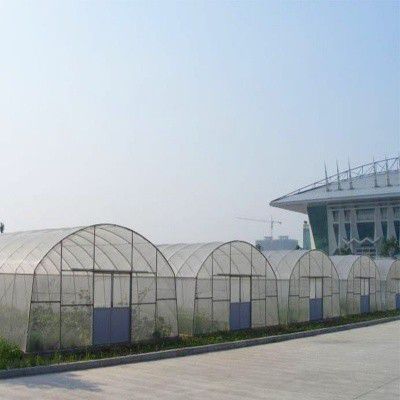 黑龍江西瓜大棚