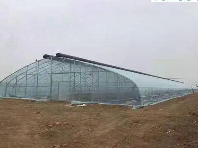 白塔橢圓管大棚