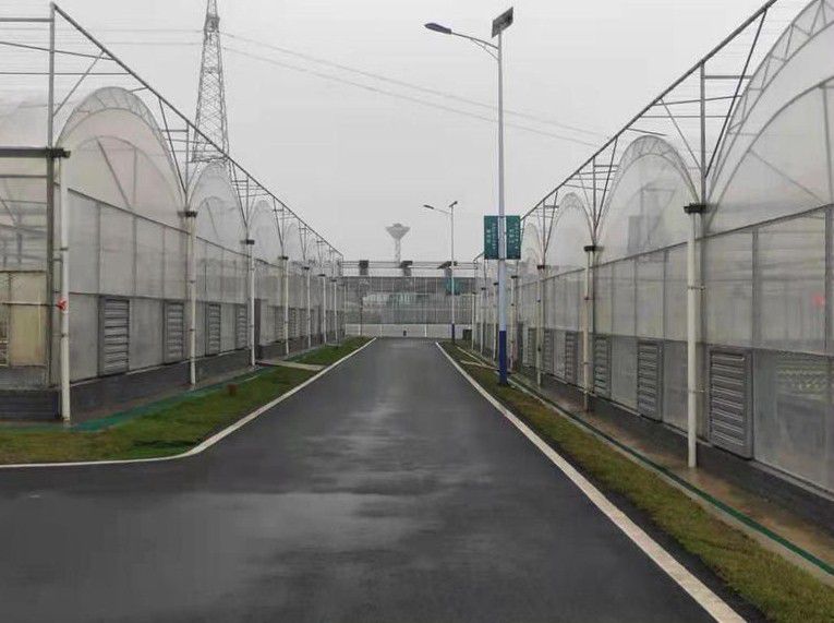白塔連棟溫室大棚