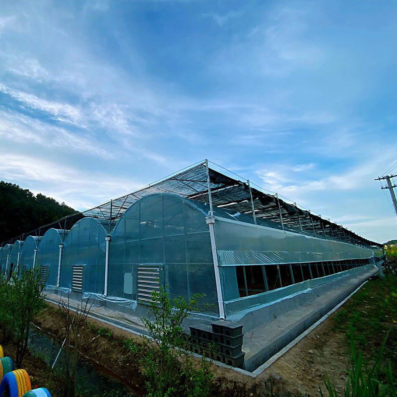 白塔溫室工程