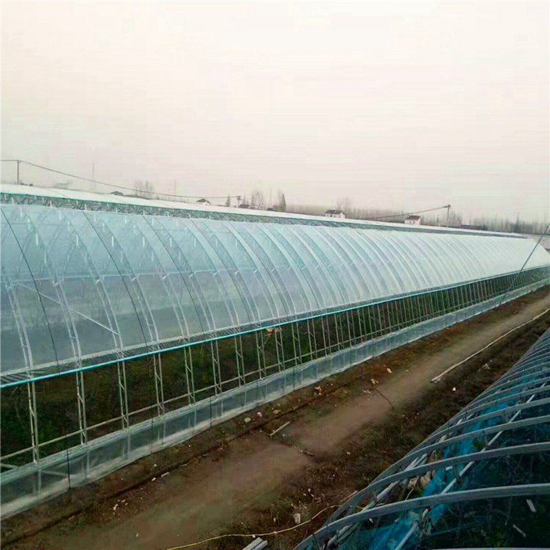 白塔蔬菜大棚