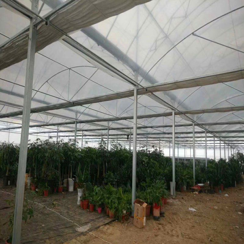白塔溫室大棚