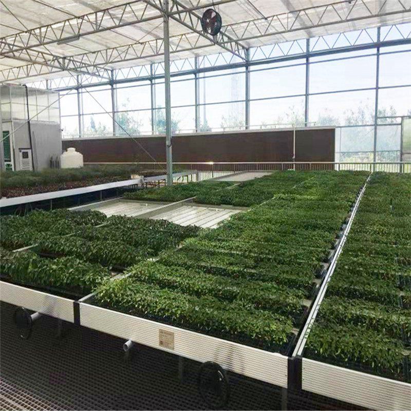 白塔蔬菜大棚