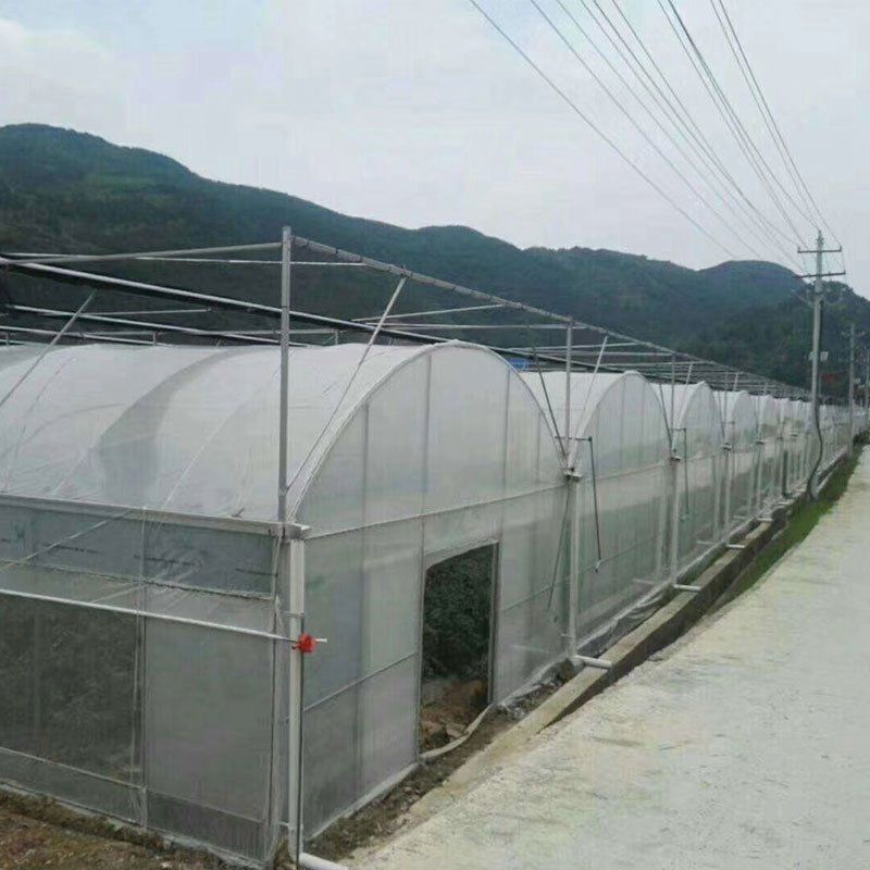 白塔外遮陽連棟大棚