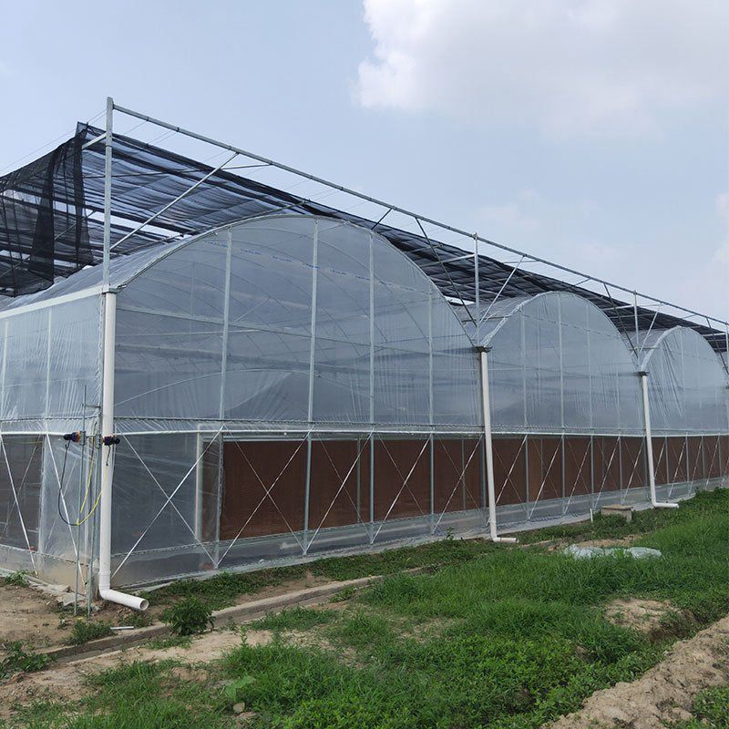 白塔溫室工程