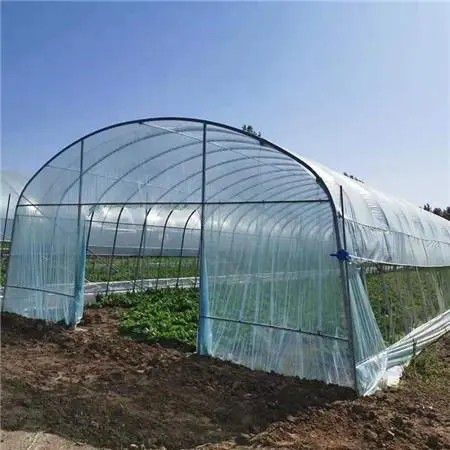 白塔橢圓管大棚